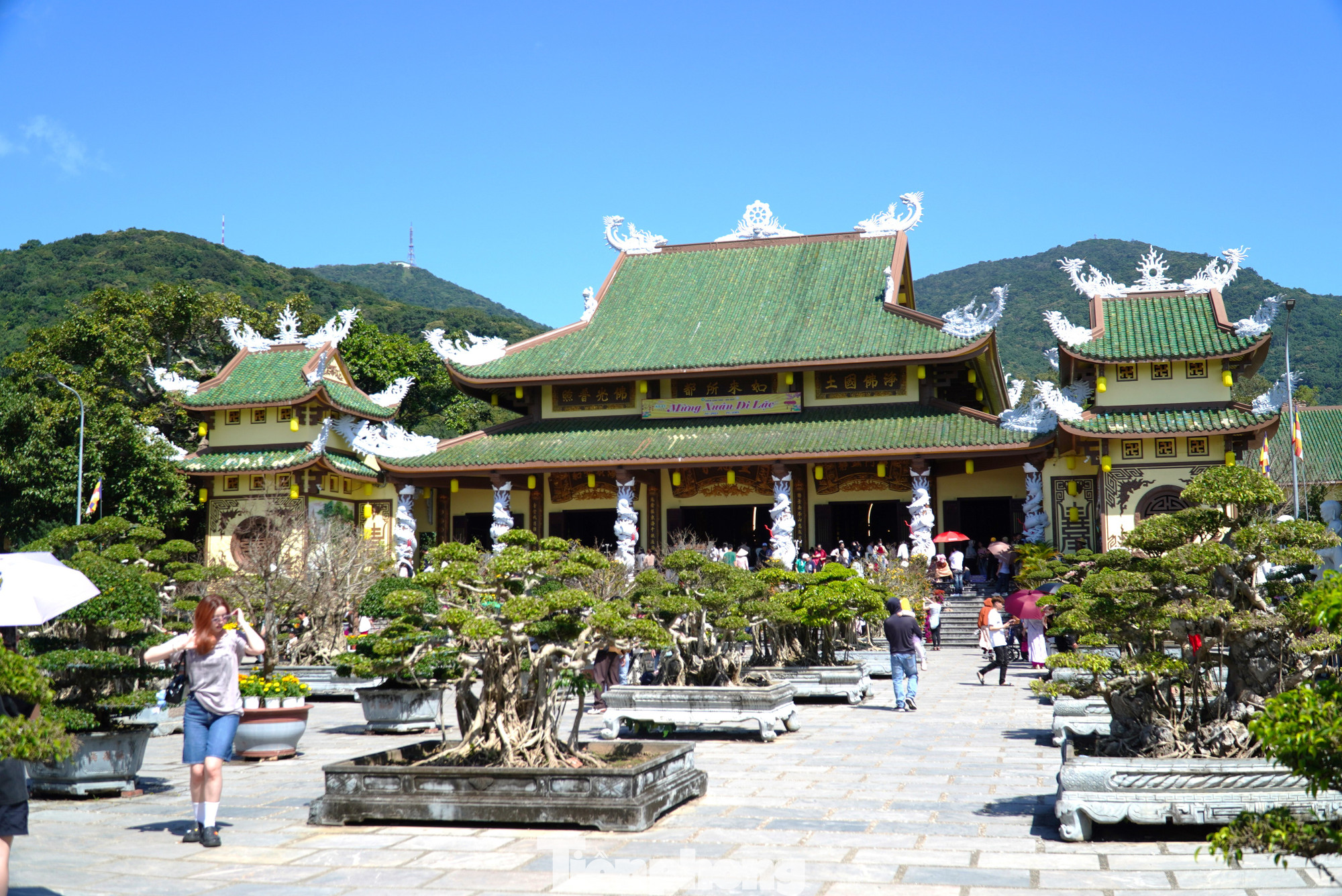 Chùa ở Sơn Trà Đà Nẵng linh thiêng, đẹp cảnh và đáng ghé khi muốn tìm sự bình yên